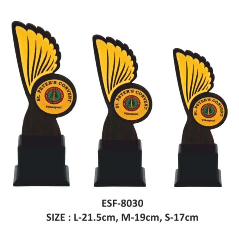 25-01ESF-8030.jpg