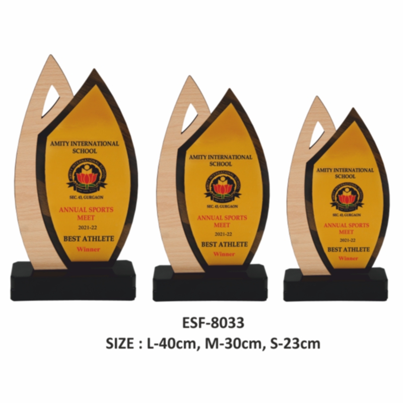 25-31ESF-8033.jpg